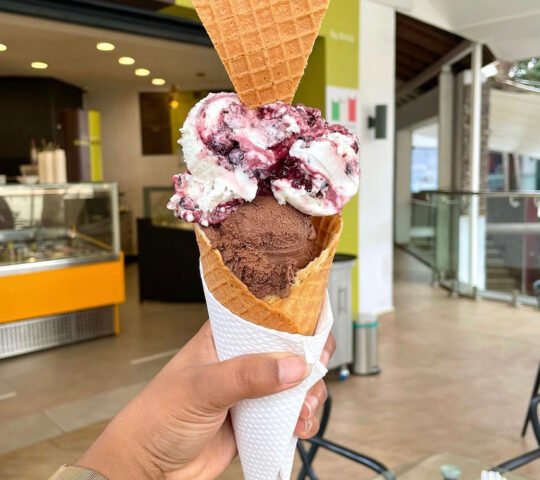 Non Solo Gelato