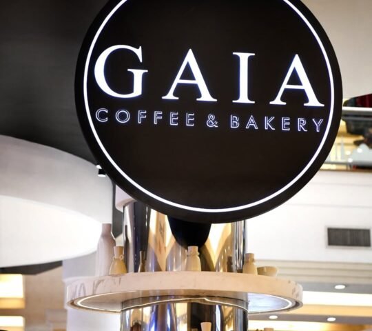 Gaia Gaia