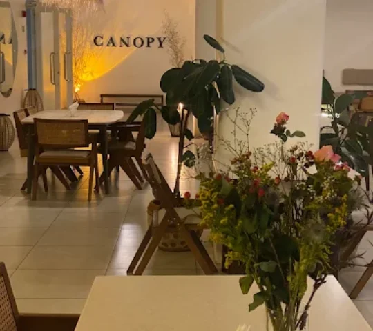 Canopy.nbo Canopy.nbo