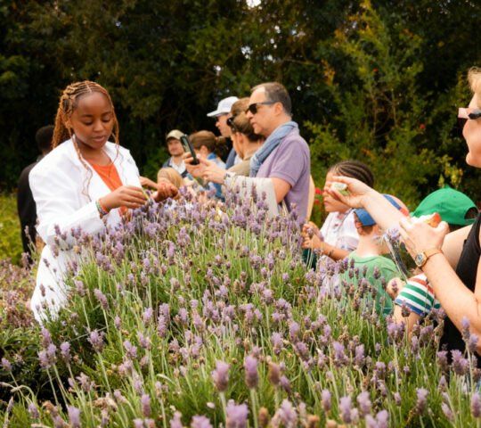 Gathoni Park Farm