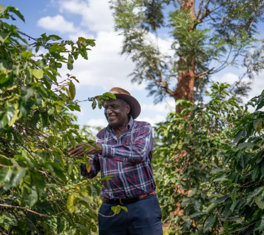 Guka’s Coffee Farm