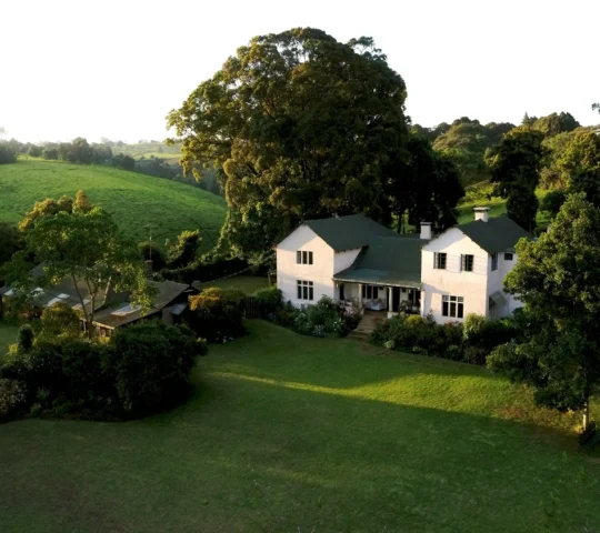 Kiambethu Tea Farm