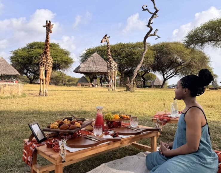 Luxury Picnic with Giraffes